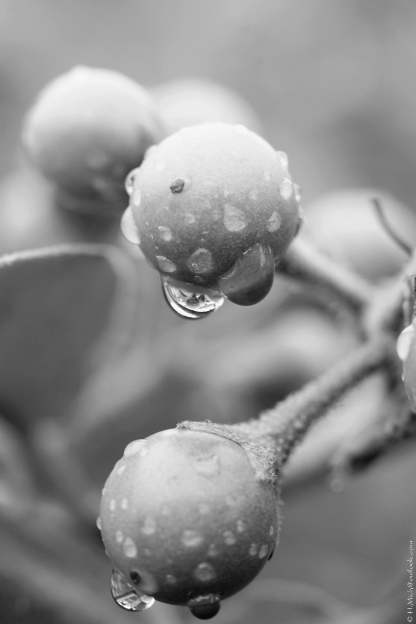 Studio-One.Art.br Repo Fotografia em Rio Preto SP/Brasil