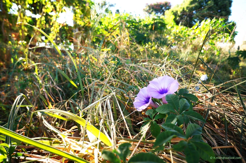 Studio-One.Art.br Repo Fotografia em Rio Preto SP/Brasil