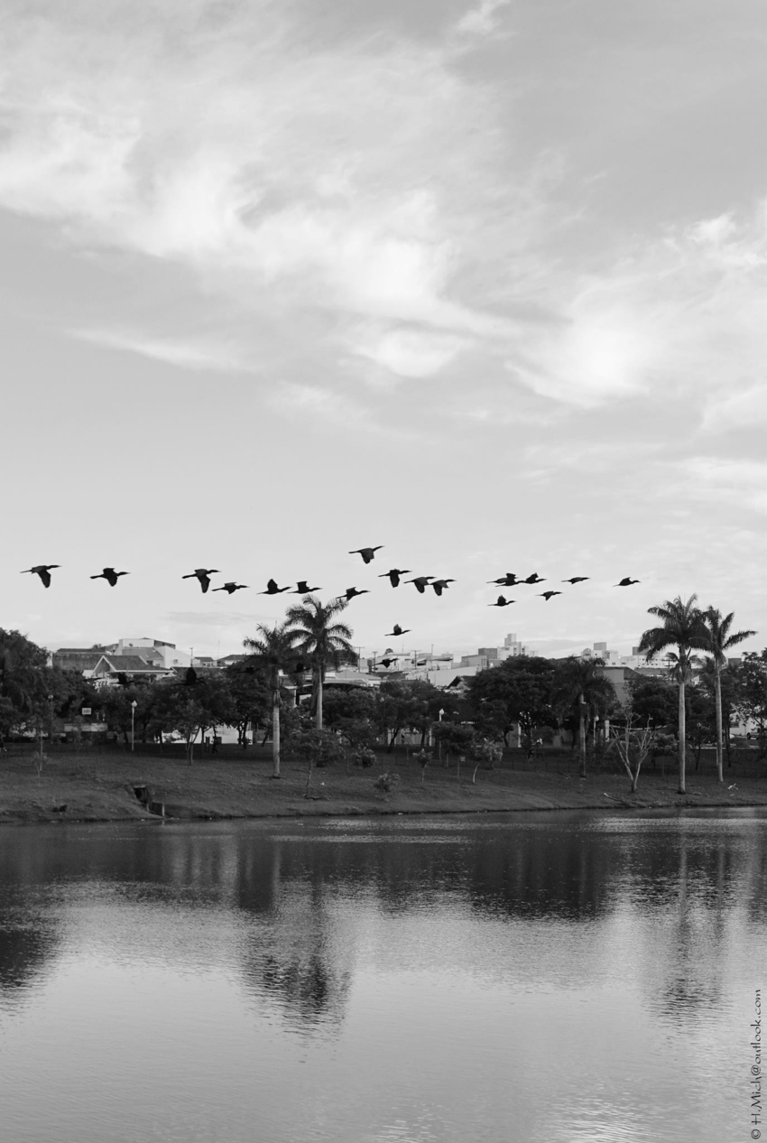 Studio-One.Art.br Repo Fotografia em Rio Preto SP/Brasil