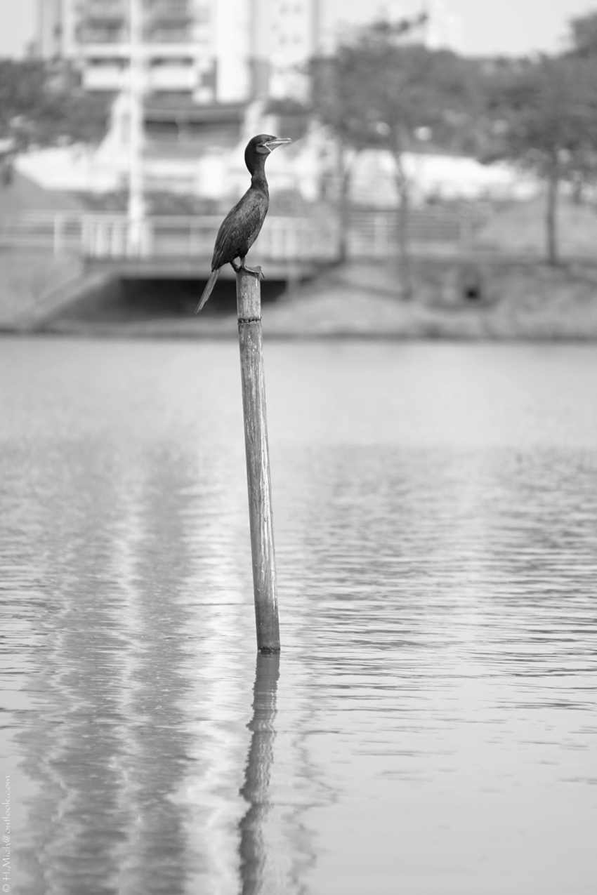 Studio-One.Art.br Repo Fotografia em Rio Preto SP/Brasil