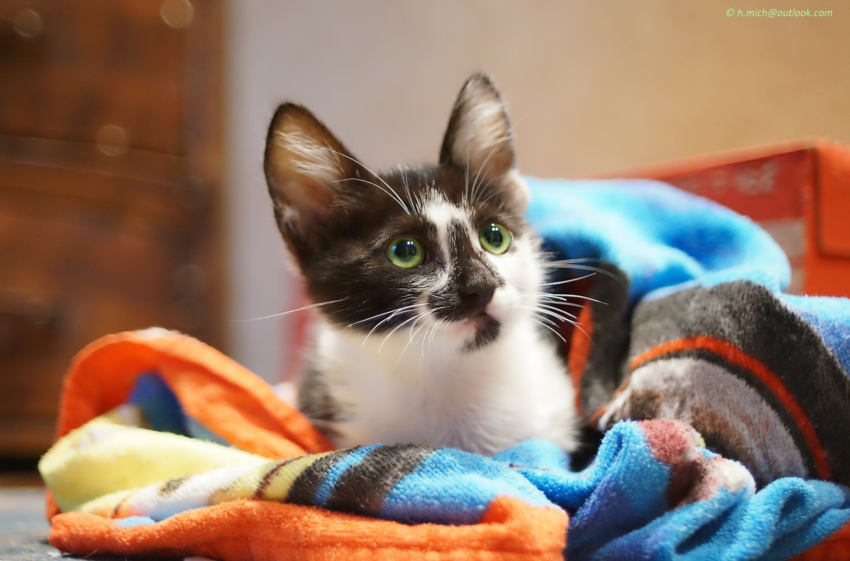 Studio-One.Art.br Repo Fotografia em Rio Preto SP/Brasil