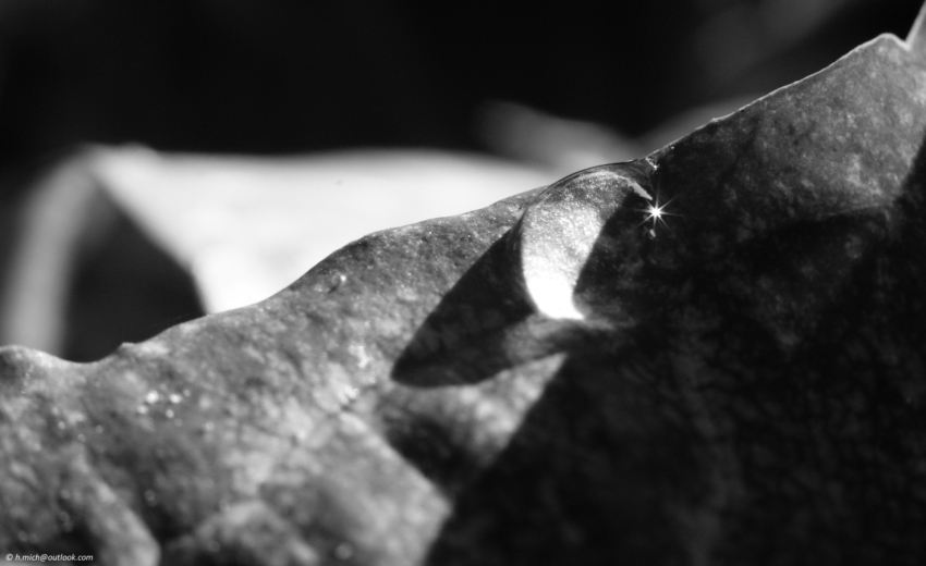 Studio-One.Art.br Repo Fotografia em Rio Preto SP/Brasil