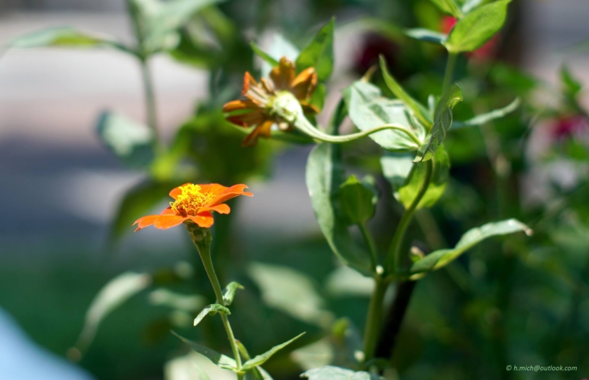 Studio-One.Art.br Repo Fotografia em Rio Preto SP/Brasil