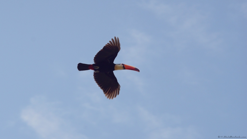 Studio-One.Art.br Repo Fotografia em Rio Preto SP/Brasil