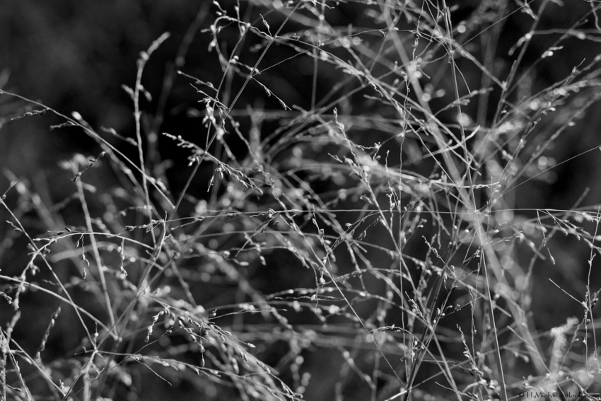 Studio-One.Art.br Repo Fotografia em Rio Preto SP/Brasil