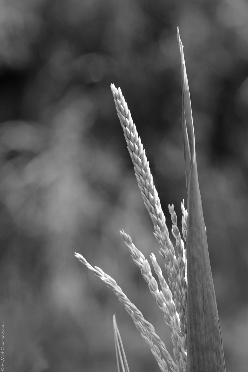 Studio-One.Art.br Repo Fotografia em Rio Preto SP/Brasil