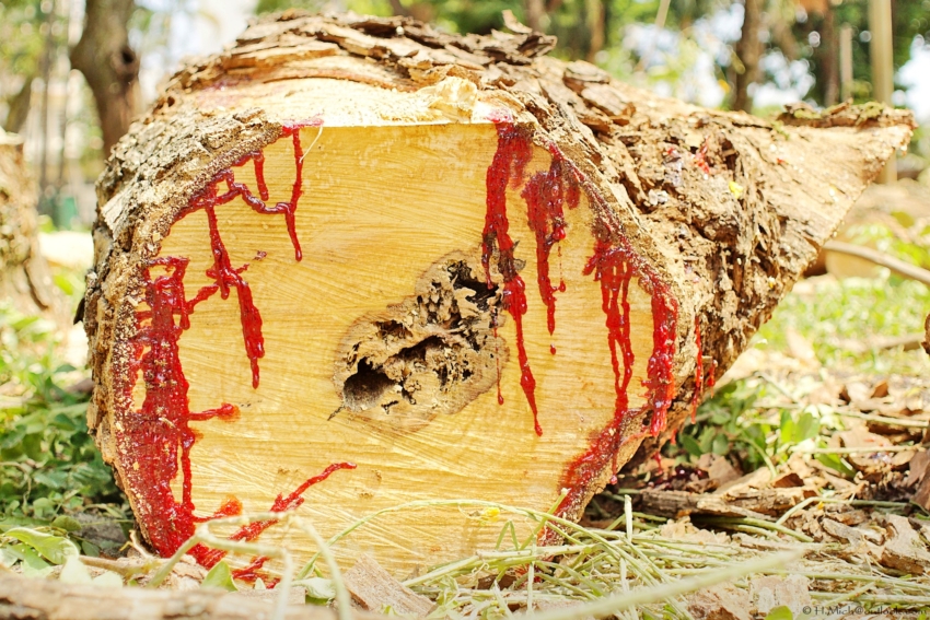 Studio-One.Art.br Repo Fotografia em Rio Preto SP/Brasil