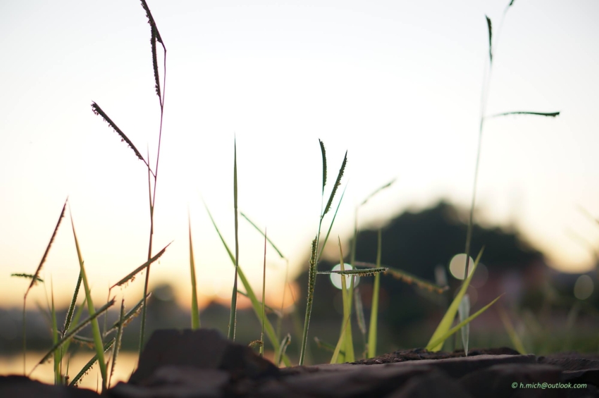 Studio-One.Art.br Repo Fotografia em Rio Preto SP/Brasil