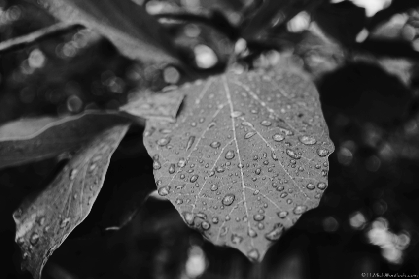 Studio-One.Art.br Repo Fotografia em Rio Preto SP/Brasil