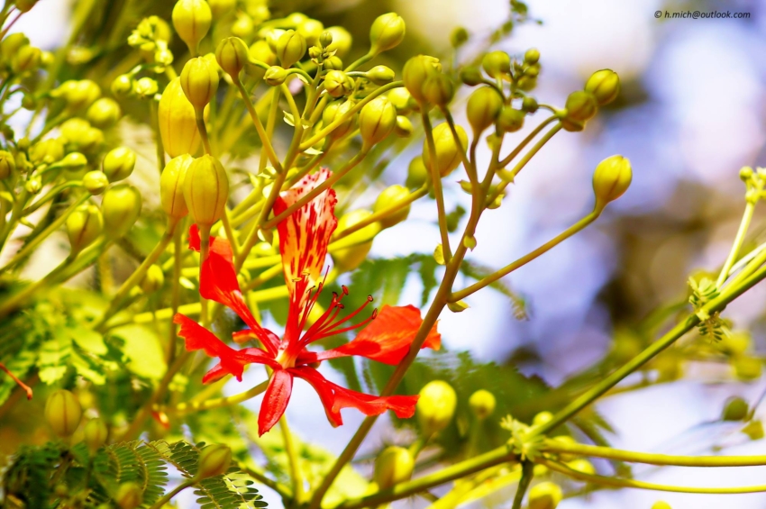 Studio-One.Art.br Repo Fotografia em Rio Preto SP/Brasil