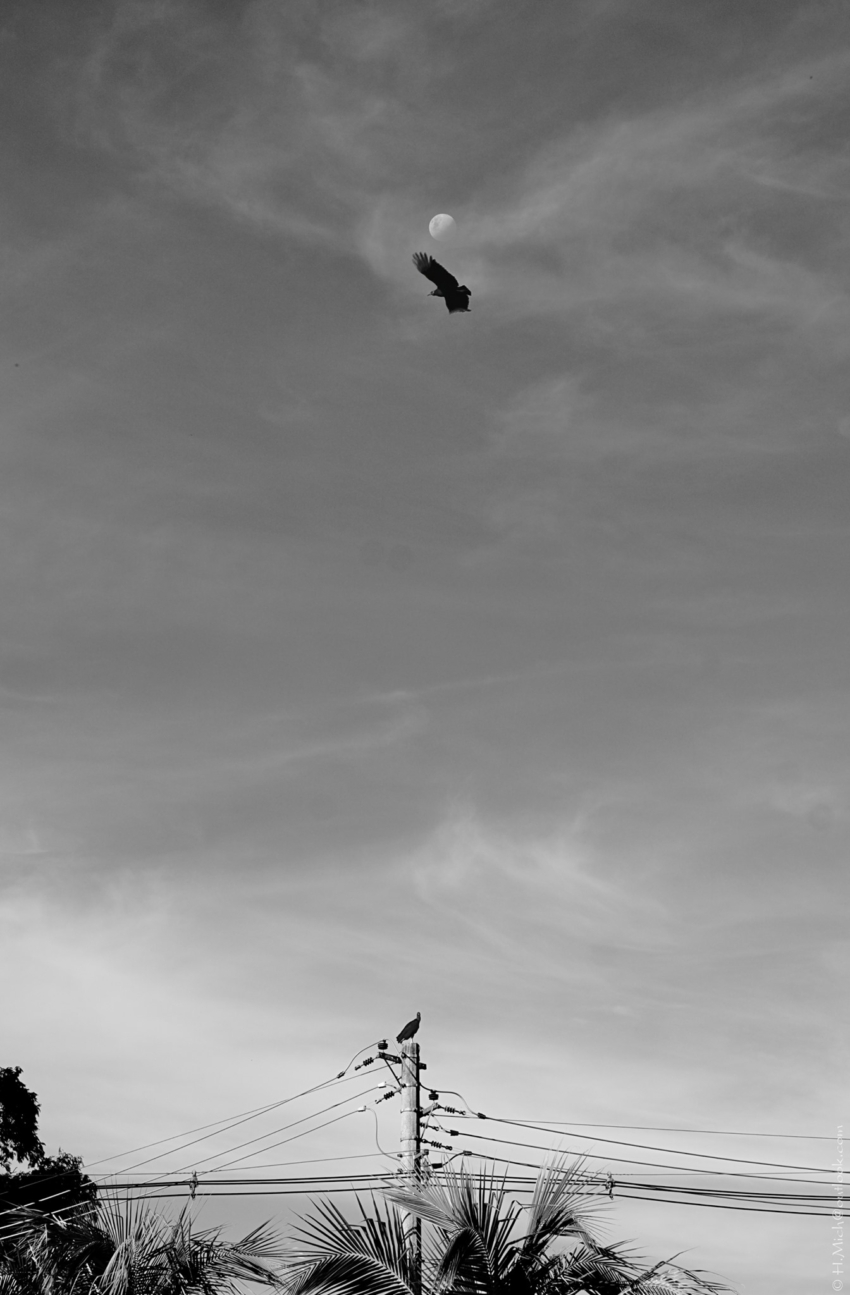 Studio-One.Art.br Repo Fotografia em Rio Preto SP/Brasil