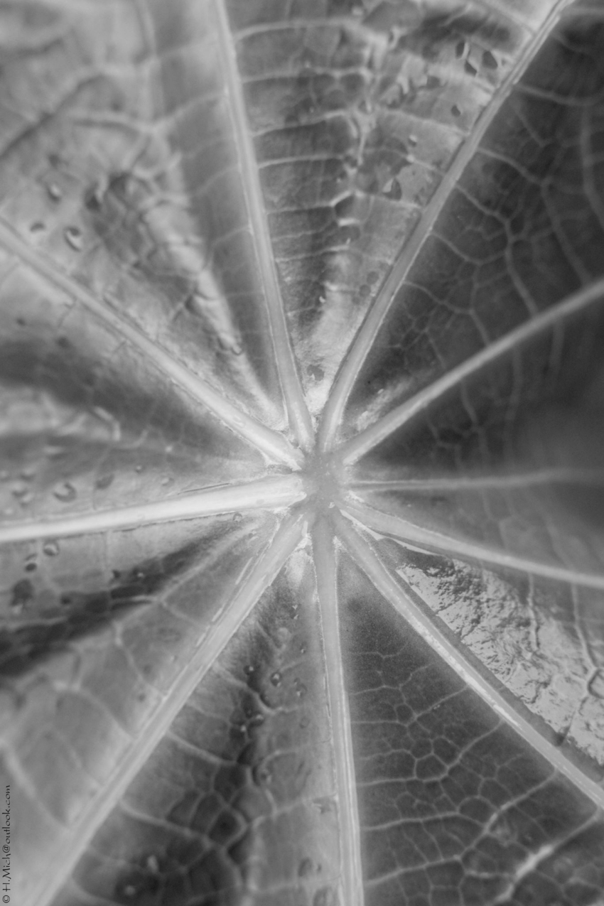 Studio-One.Art.br Repo Fotografia em Rio Preto SP/Brasil