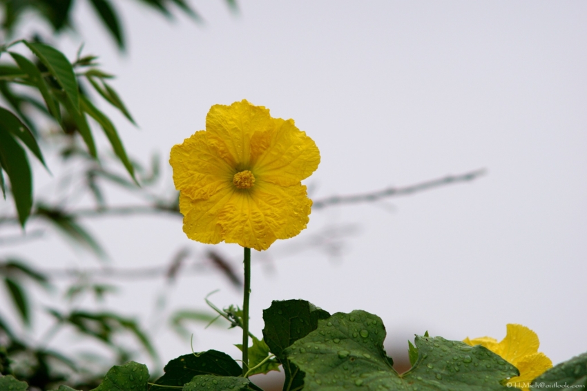 Studio-One.Art.br Repo Fotografia em Rio Preto SP/Brasil
