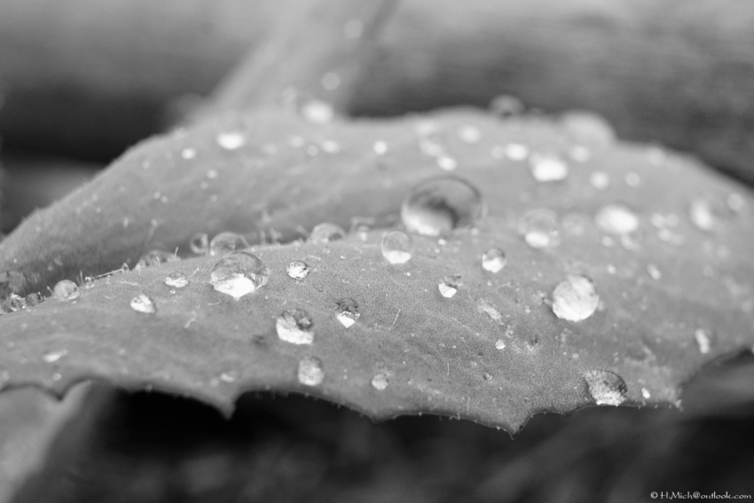 Studio-One.Art.br Repo Fotografia em Rio Preto SP/Brasil