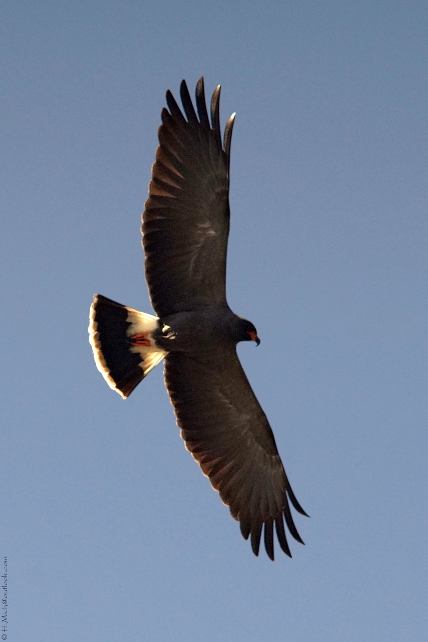 Studio-One.Art.br Repo Fotografia em Rio Preto SP/Brasil