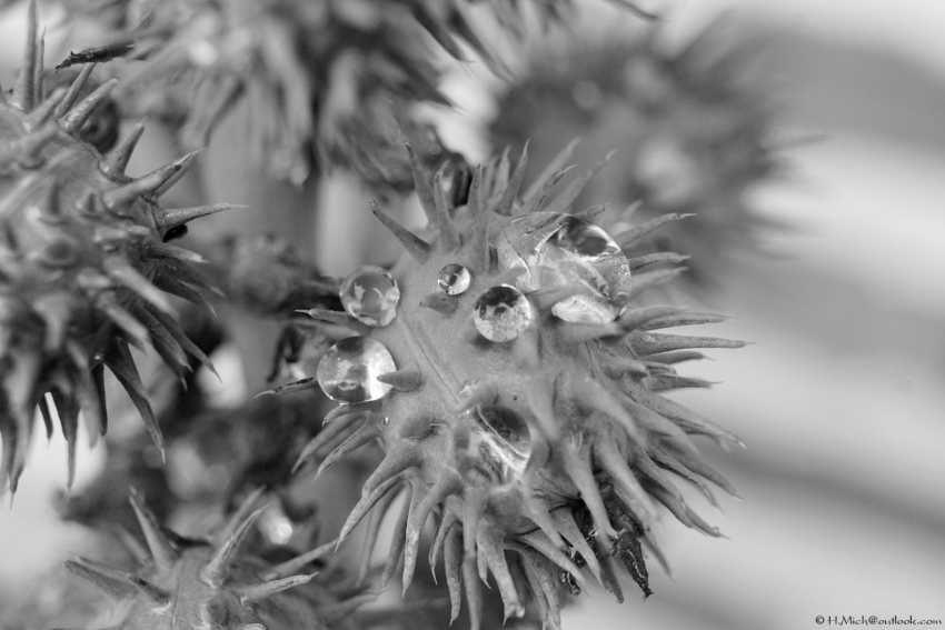 Studio-One.Art.br Repo Fotografia em Rio Preto SP/Brasil