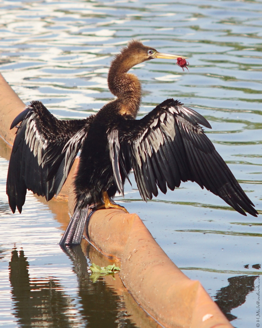 Studio-One.Art.br Repo Fotografia em Rio Preto SP/Brasil