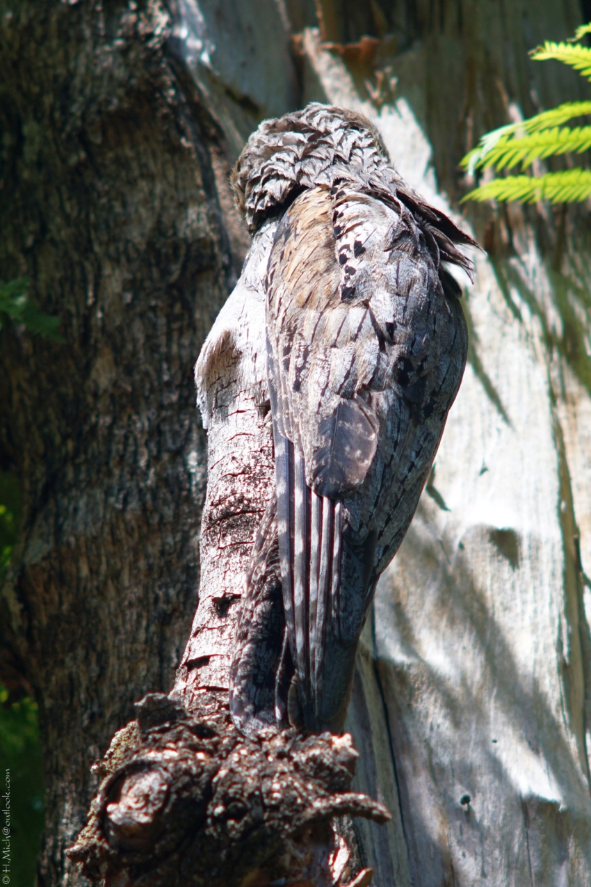 Studio-One.Art.br Repo Fotografia em Rio Preto SP/Brasil