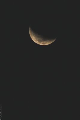 2022 06 15(159)