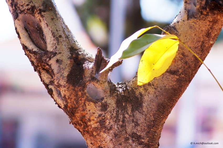 Studio-One.Art.br Repo Fotografia em Rio Preto SP/Brasil