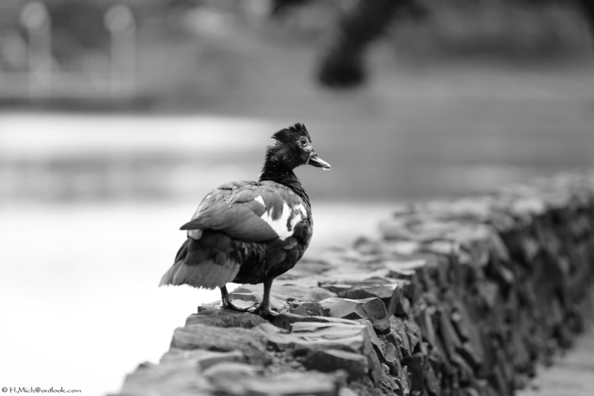 Studio-One.Art.br Repo Fotografia em Rio Preto SP/Brasil