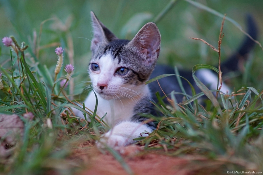 Studio-One.Art.br Repo Fotografia em Rio Preto SP/Brasil