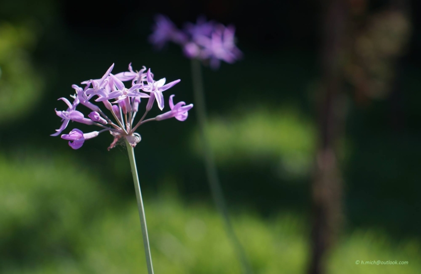 Studio-One.Art.br Repo Fotografia em Rio Preto SP/Brasil