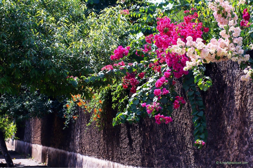 Studio-One.Art.br Repo Fotografia em Rio Preto SP/Brasil