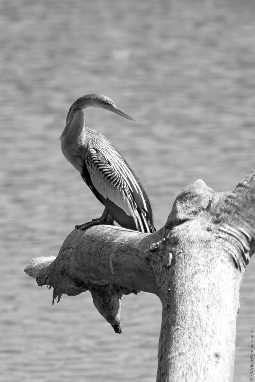 Studio-One.Art.br Repo Fotografia em Rio Preto SP/Brasil