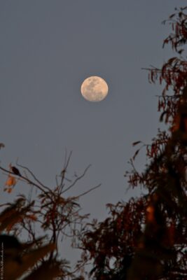 2022 06 15(161)