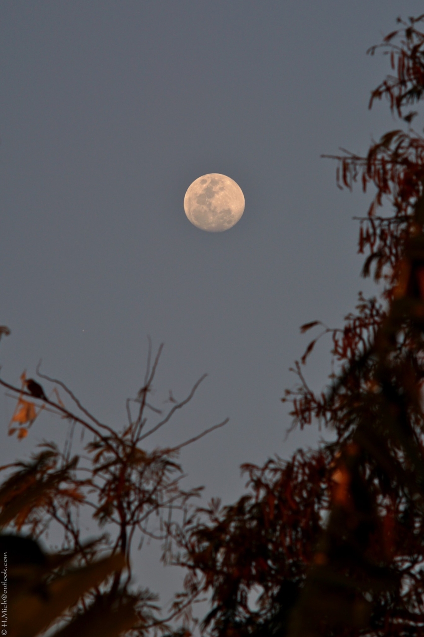 Studio-One.Art.br Repo Fotografia em Rio Preto SP/Brasil