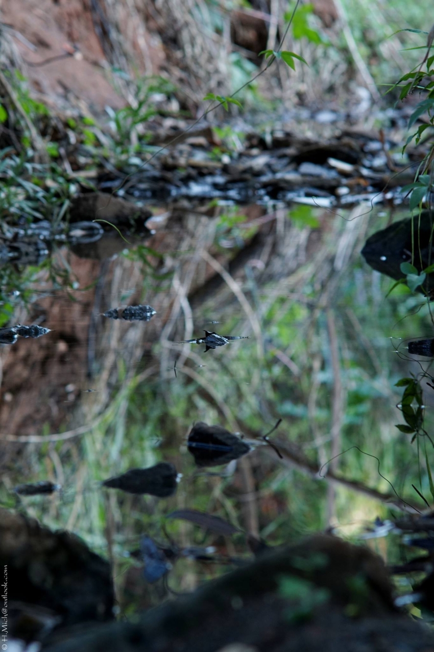 Studio-One.Art.br Repo Fotografia em Rio Preto SP/Brasil