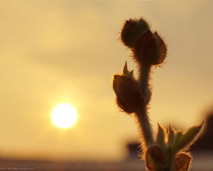 Studio-One.Art.br Repo Fotografia em Rio Preto SP/Brasil