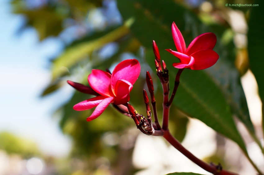 Studio-One.Art.br Repo Fotografia em Rio Preto SP/Brasil