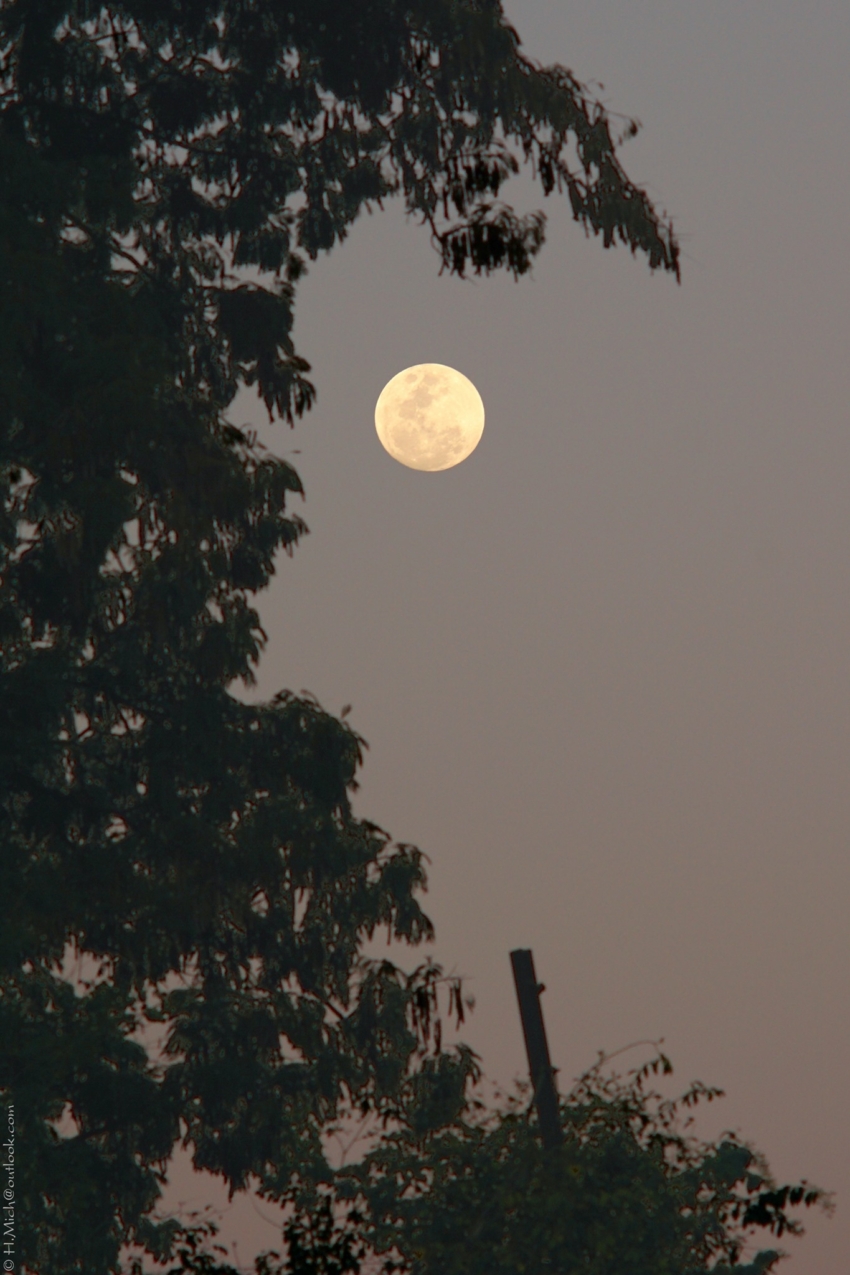 Studio-One.Art.br Repo Fotografia em Rio Preto SP/Brasil