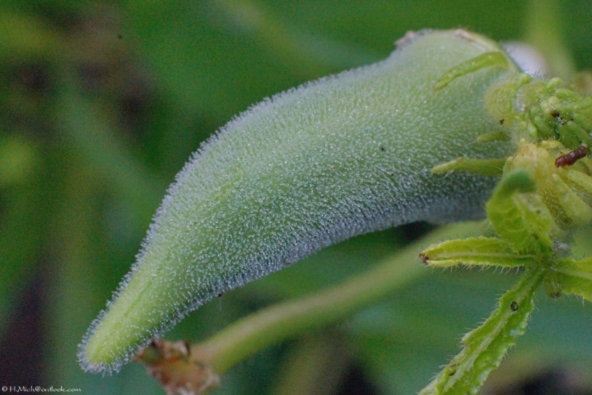 Studio-One.Art.br Repo Fotografia em Rio Preto SP/Brasil