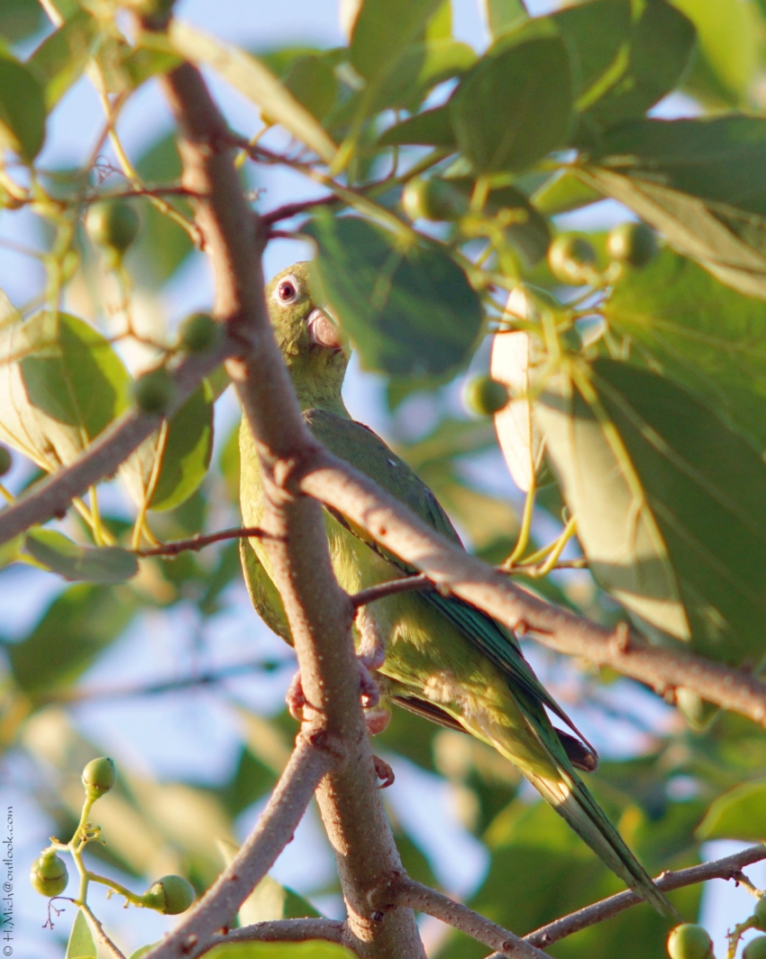 Studio-One.Art.br Repo Fotografia em Rio Preto SP/Brasil