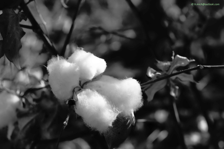 Studio-One.Art.br Repo Fotografia em Rio Preto SP/Brasil