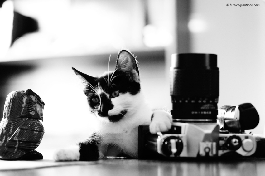 Studio-One.Art.br Repo Fotografia em Rio Preto SP/Brasil