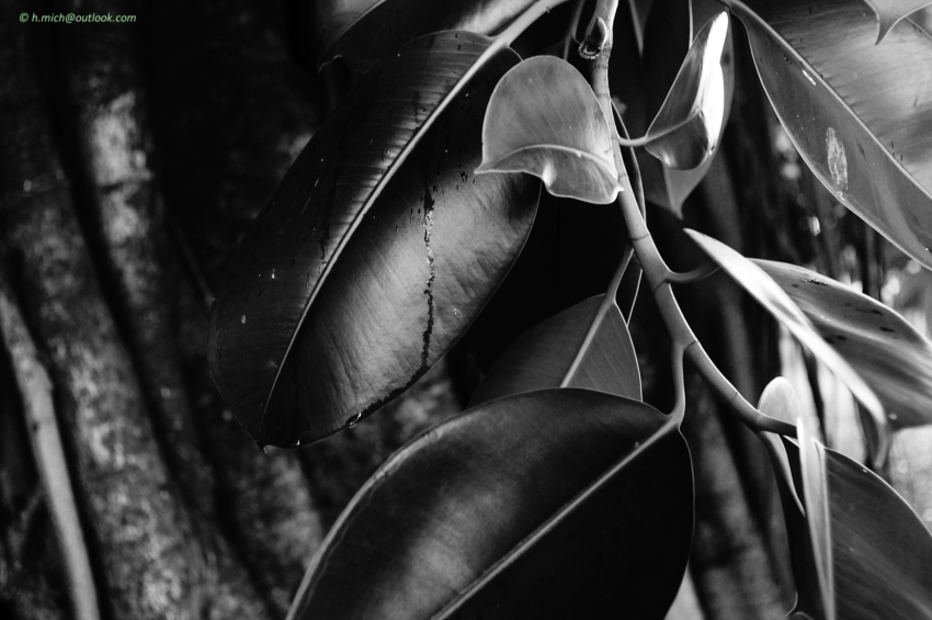 Studio-One.Art.br Repo Fotografia em Rio Preto SP/Brasil