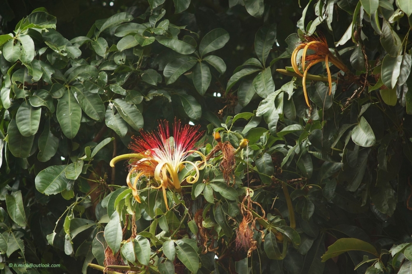 Studio-One.Art.br Repo Fotografia em Rio Preto SP/Brasil