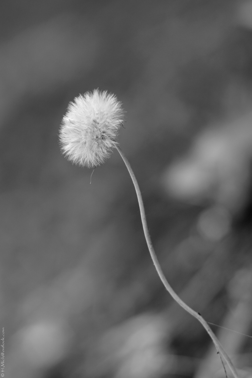 Studio-One.Art.br Repo Fotografia em Rio Preto SP/Brasil