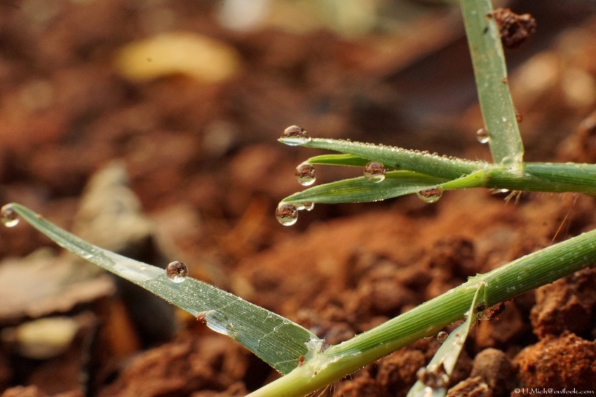 Studio-One.Art.br Repo Fotografia em Rio Preto SP/Brasil