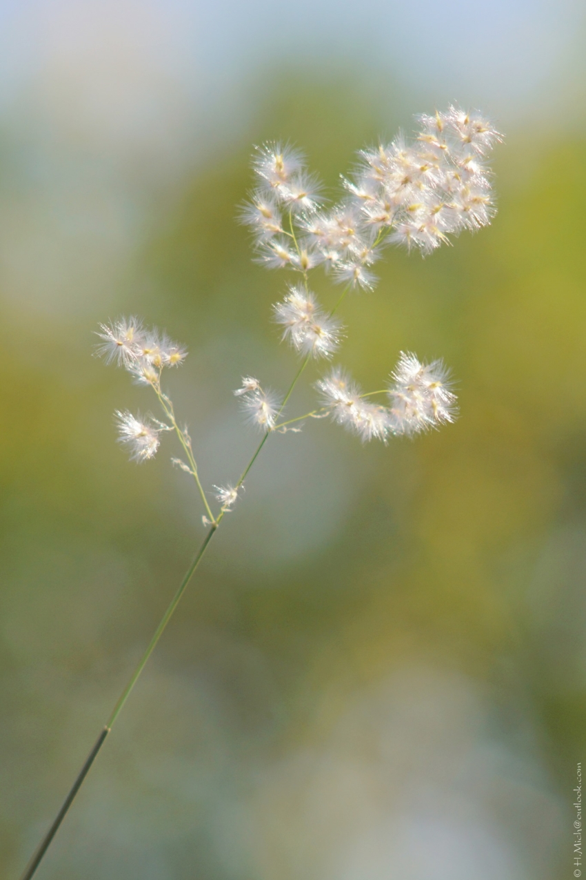 Studio-One.Art.br Repo Fotografia em Rio Preto SP/Brasil