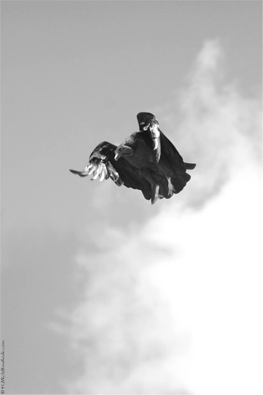 Studio-One.Art.br Repo Fotografia em Rio Preto SP/Brasil