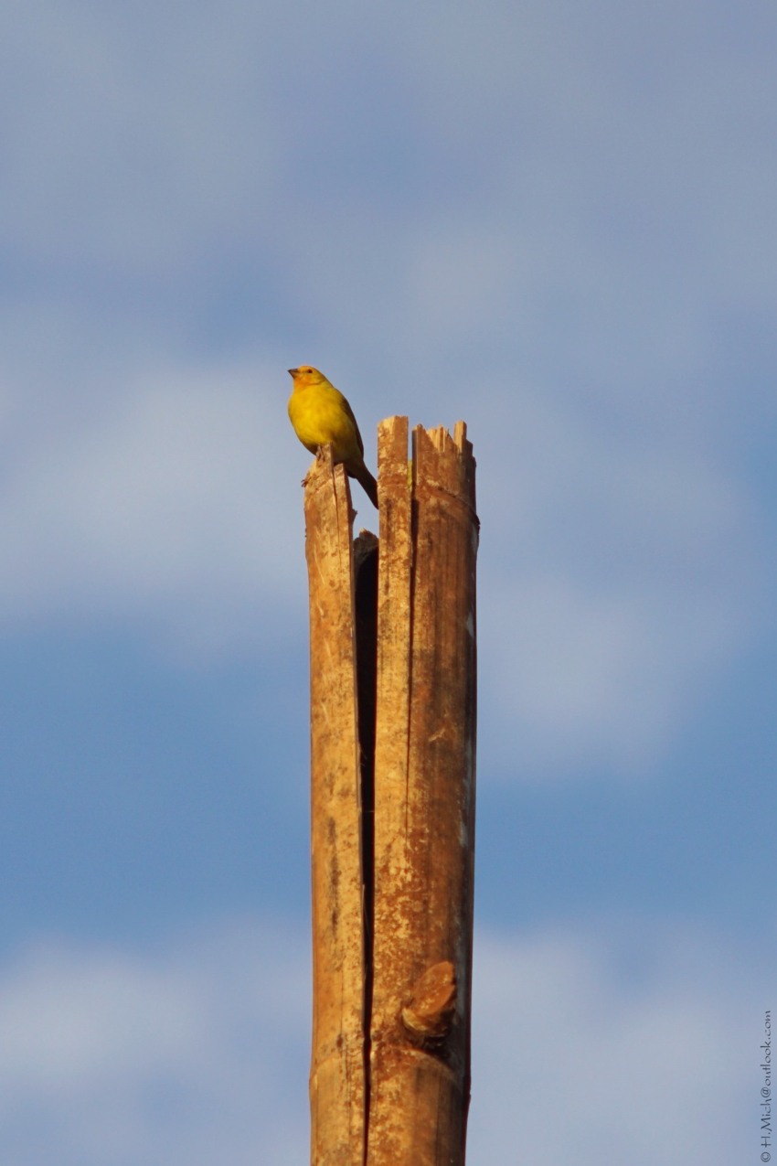 Studio-One.Art.br Repo Fotografia em Rio Preto SP/Brasil