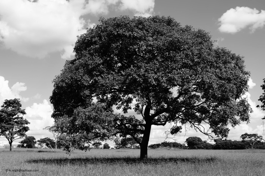 Studio-One.Art.br Repo Fotografia em Rio Preto SP/Brasil
