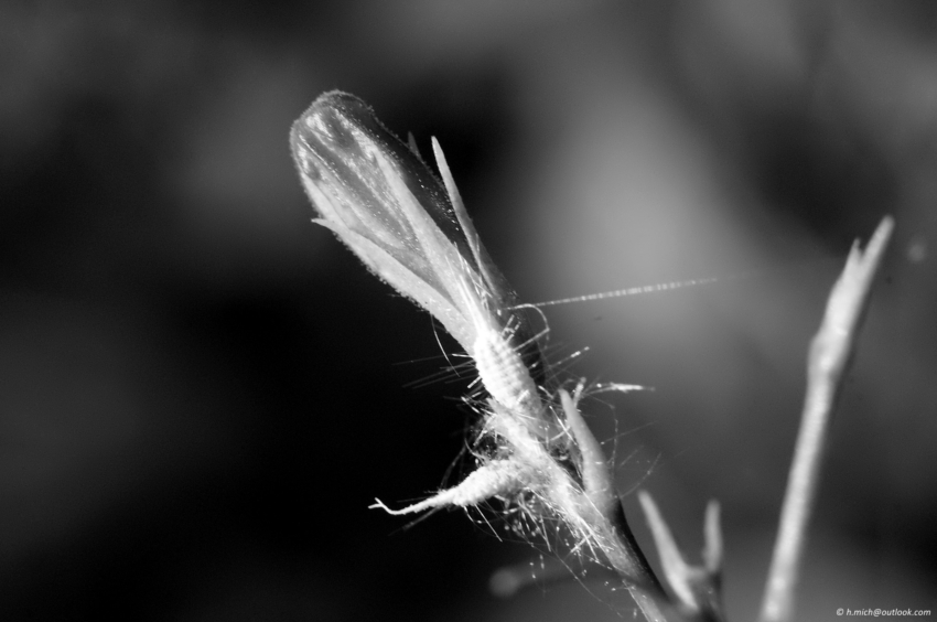 Studio-One.Art.br Repo Fotografia em Rio Preto SP/Brasil