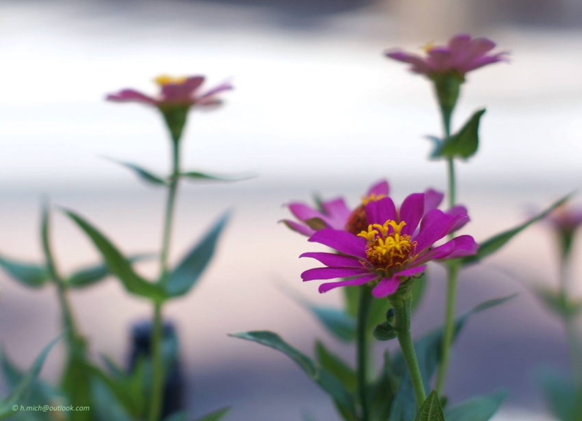 Studio-One.Art.br Repo Fotografia em Rio Preto SP/Brasil