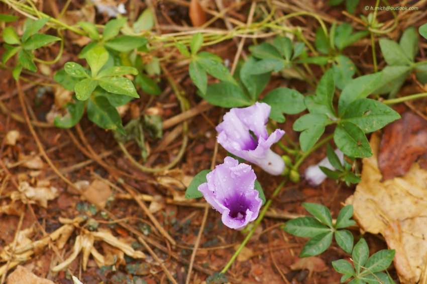 Studio-One.Art.br Repo Fotografia em Rio Preto SP/Brasil